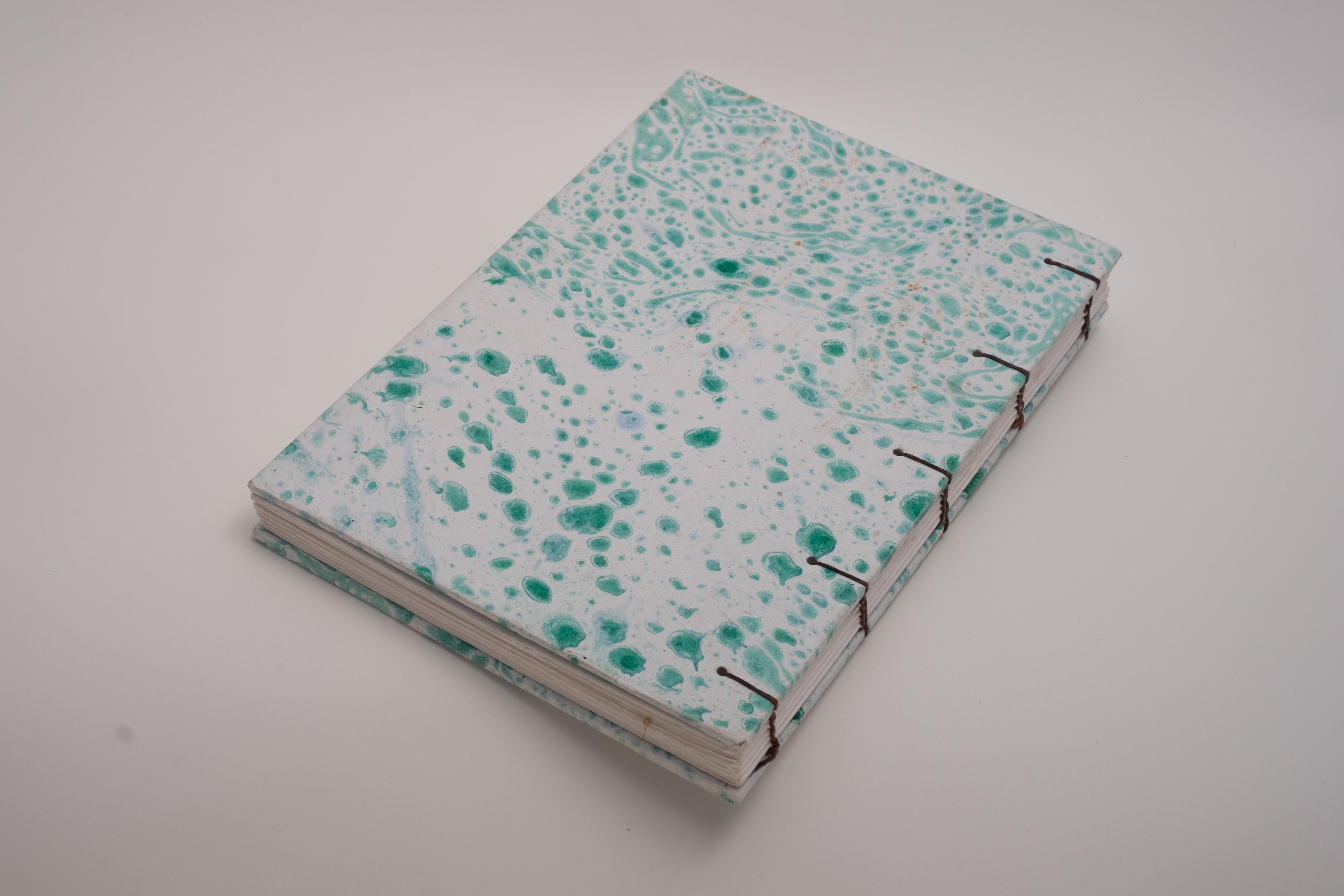 2011 Buch Koptische Bindung Blaue Punkte