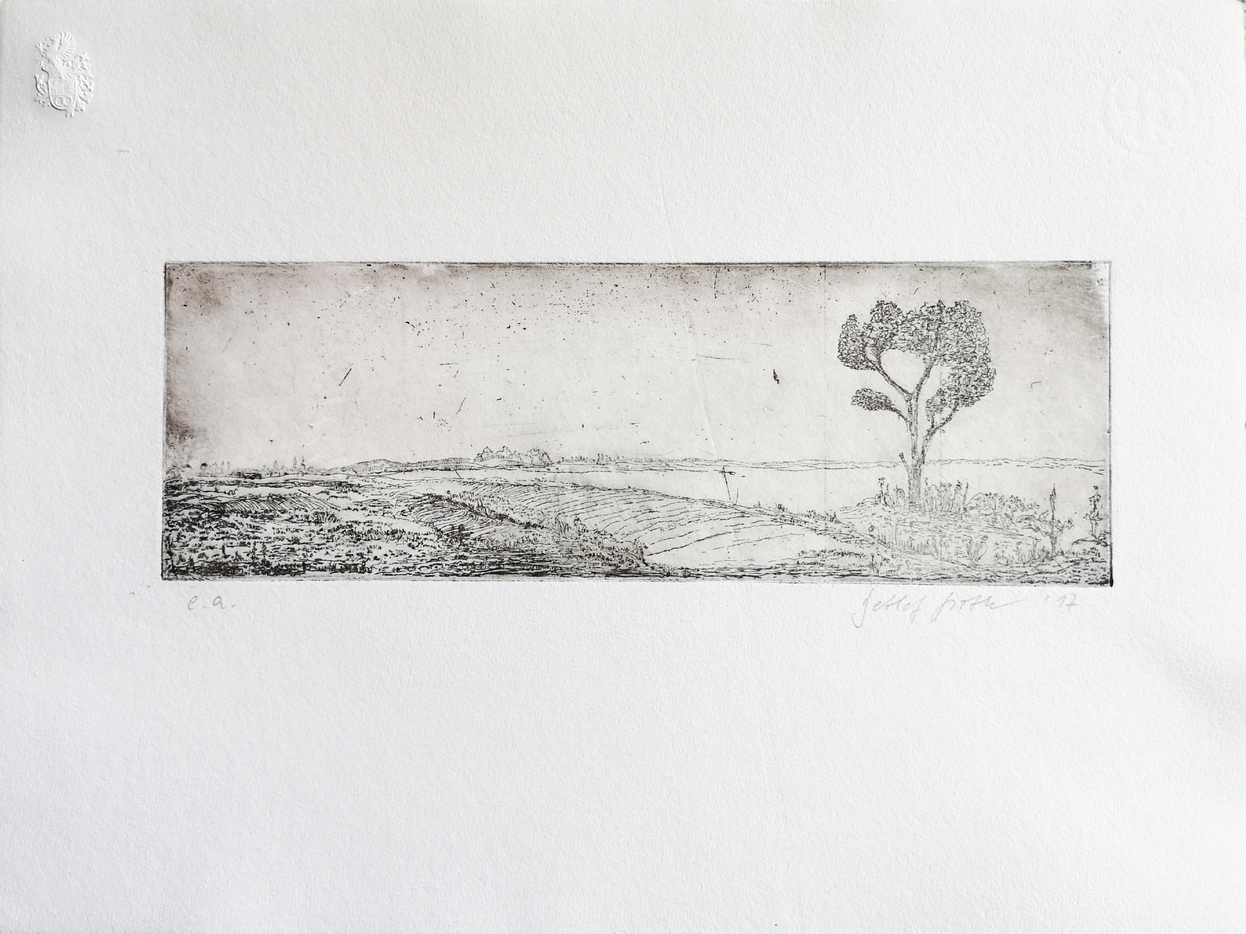 2017 Landschaft Panorama
