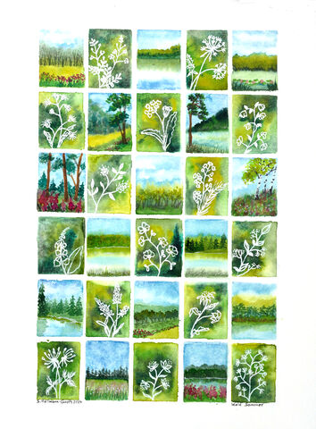 SONY DSC