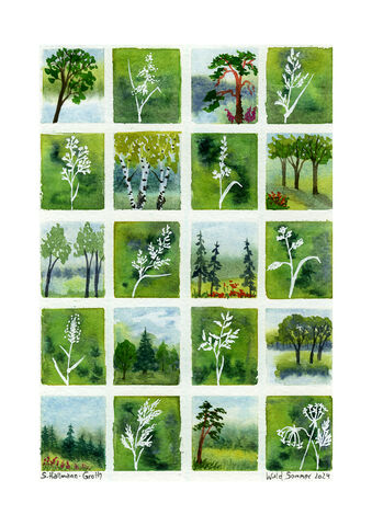 2024 WaldSommer klein web
