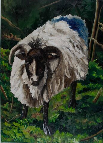 Hallmann Groth Souvenirs2012 Irland BlueSheep web