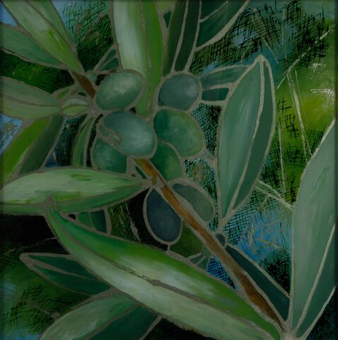 SONY DSC